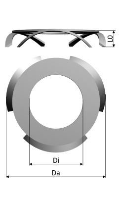 Fingerfederscheiben